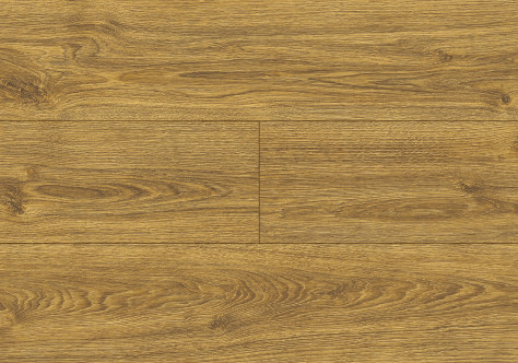 Forte Oak colour